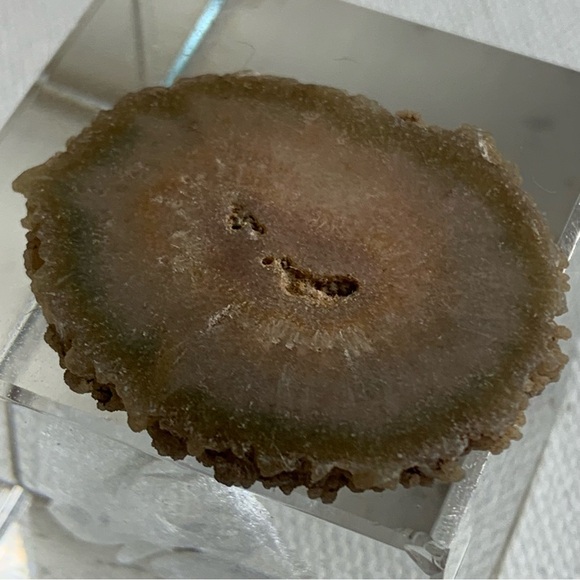 Stalactite Slice Polished Crystal Display Specimen Las Torres Mine Uruguay 1.4" - Picture 6 of 10